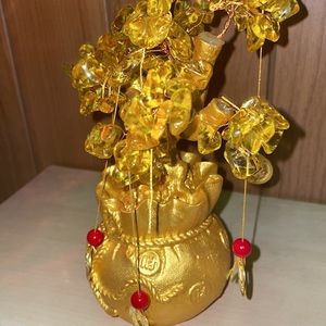 Manifesting money tree not used $35